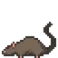 A cute rat sniffing around on the contact section