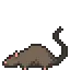 A cute rat sniffing around on the contact section