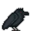 A raven looks at a nearby hacky sack